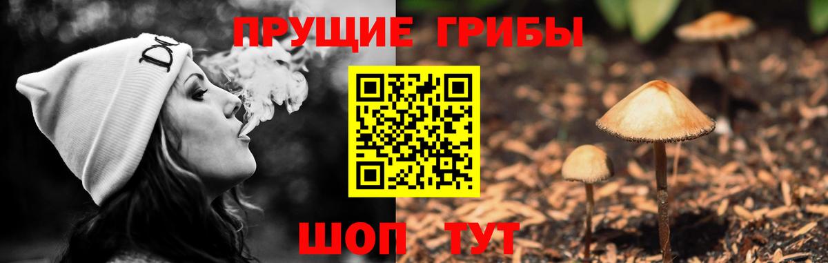Псилоцибиновые грибы мухоморы Арзамас